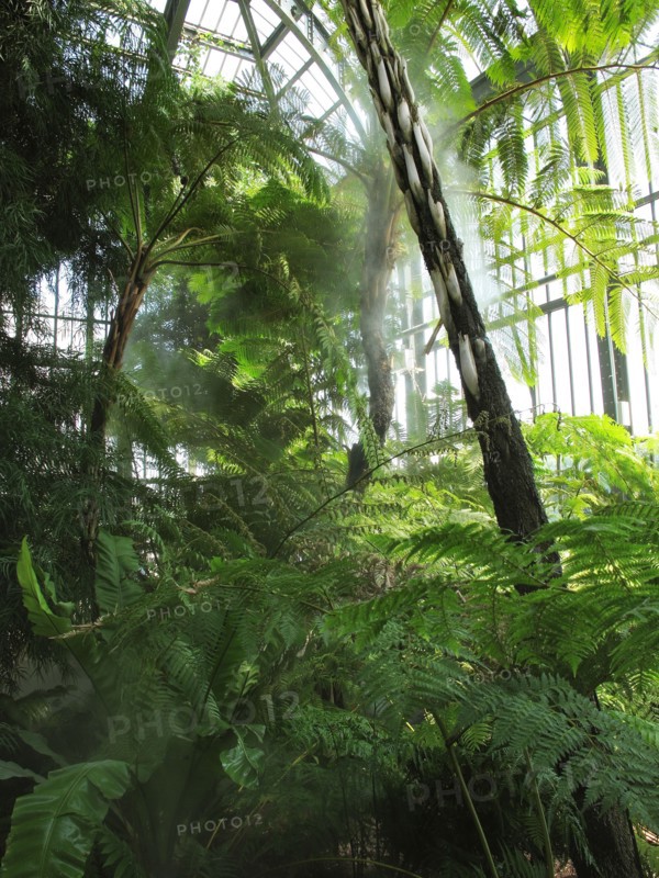 Serre du Jardin des Plantes