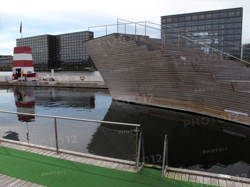 Piscine naturelle sur un canal de Copenhague