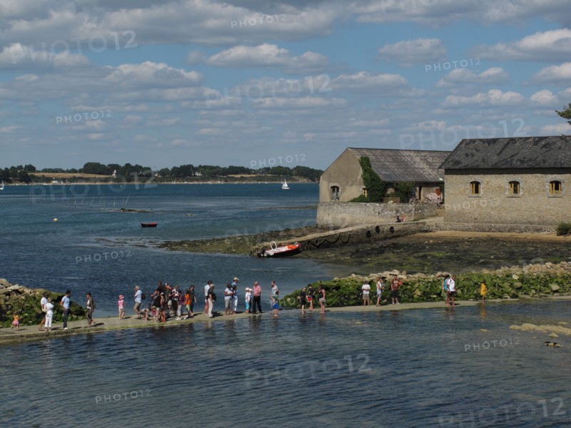 Paysage de Larmor-Baden