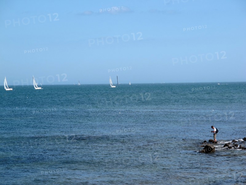 Morbihan, landscape