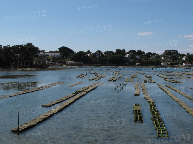Parc a huitres dans la baie de Larmor Baden