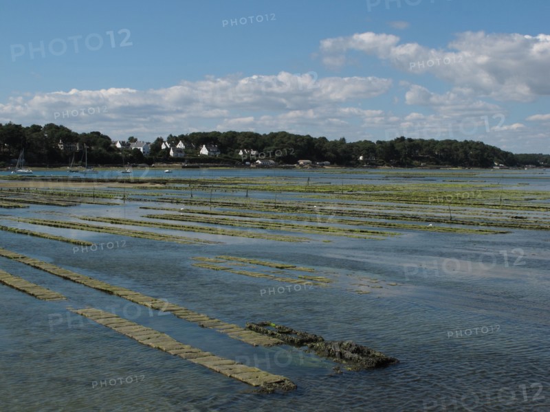Oyster beds in the Baie de Larmor Baden