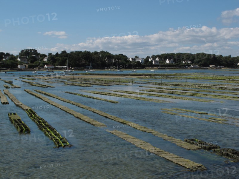 Oyster beds in the Baie de Larmor Baden