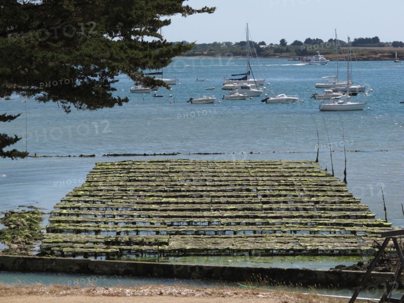 Oyster beds in the Baie de Larmor Baden