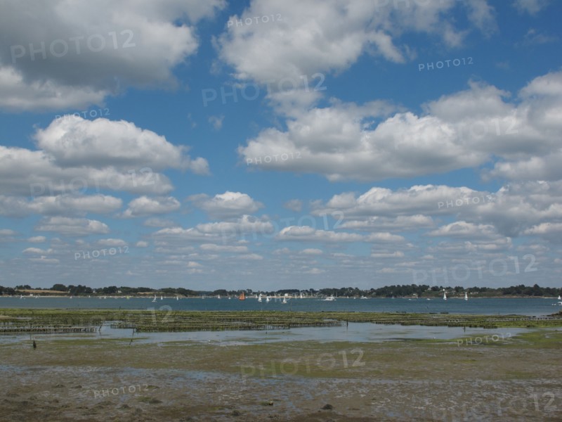 Parc a huitres dans la baie de Larmor Baden