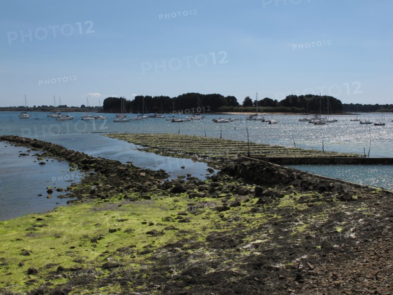 Parc a huitres dans la baie de Larmor Baden