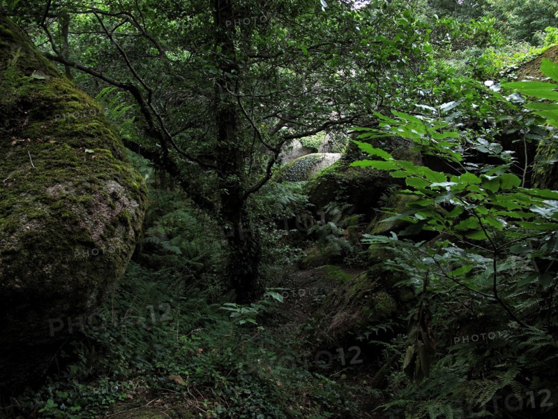 Morbihan, landscape