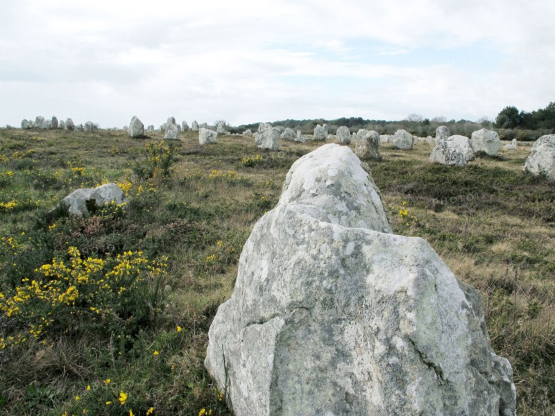 Alignements du Menec a Carnac