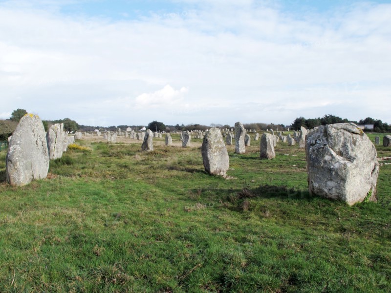 Alignements du Menec à Carnac