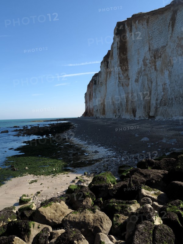 Falaise des Petites-Dalles