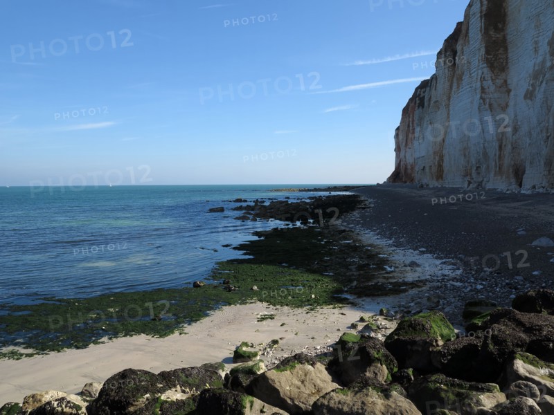 Falaise des Petites-Dalles