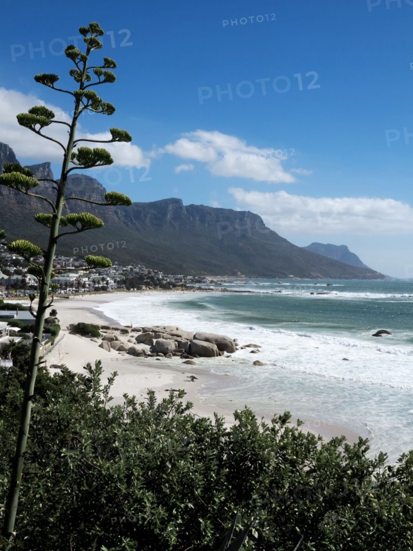 Le Cap, Camps Bay