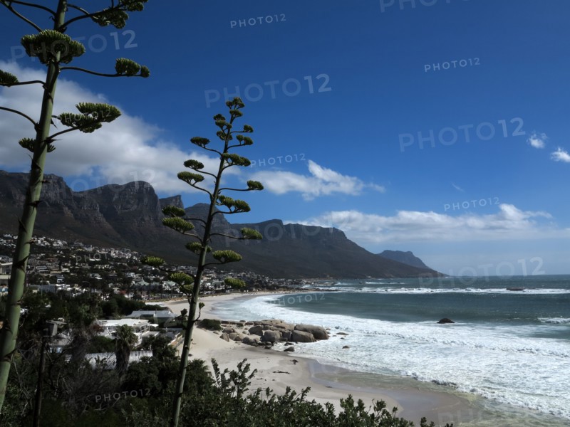 Le Cap, Camps Bay