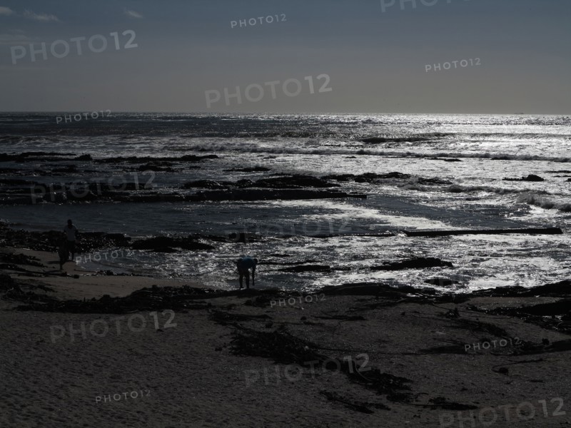 Le Cap, Sea Point