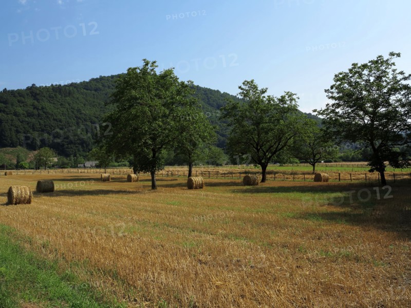 Champs en Correze