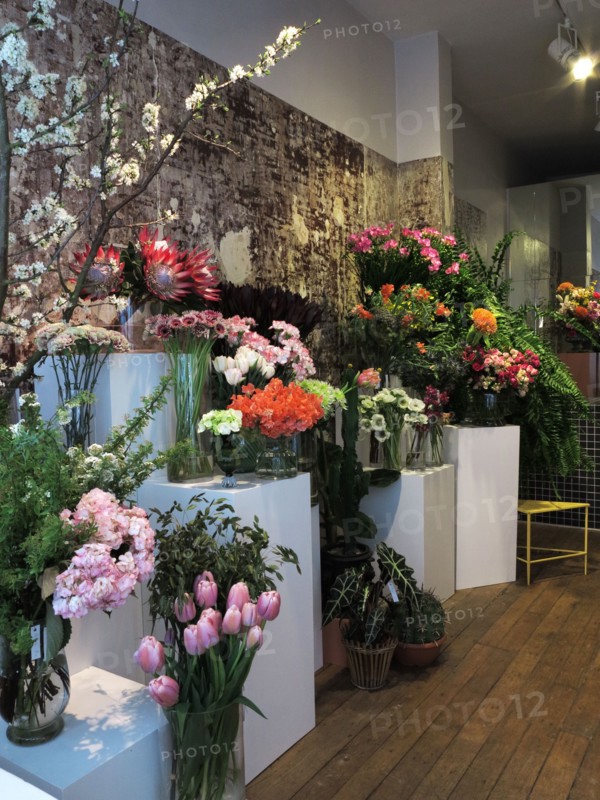Boutique de fleurs "Debeaulieu"