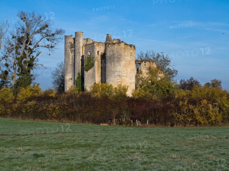 Castle de Passy-les-Tours a Varennes-les-Narcy