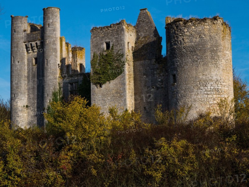 Castle de Passy-les-Tours a Varennes-les-Narcy