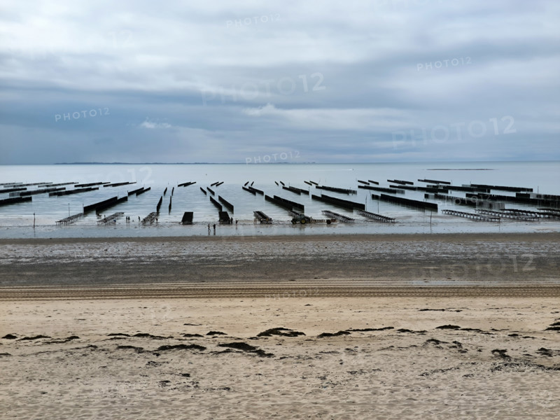 Oyster beds and mussel beds in Normandy