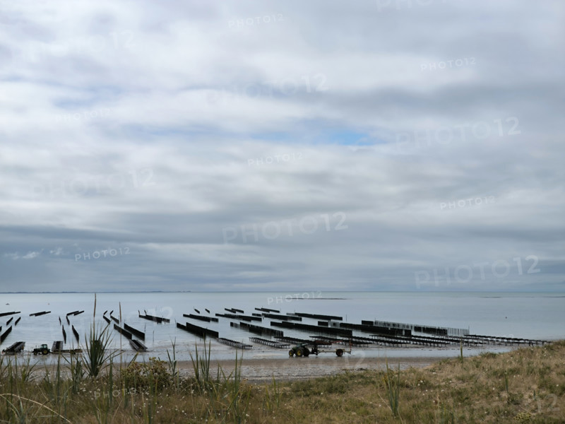 Parcs à huîtres et bouchots à moules en Normandie