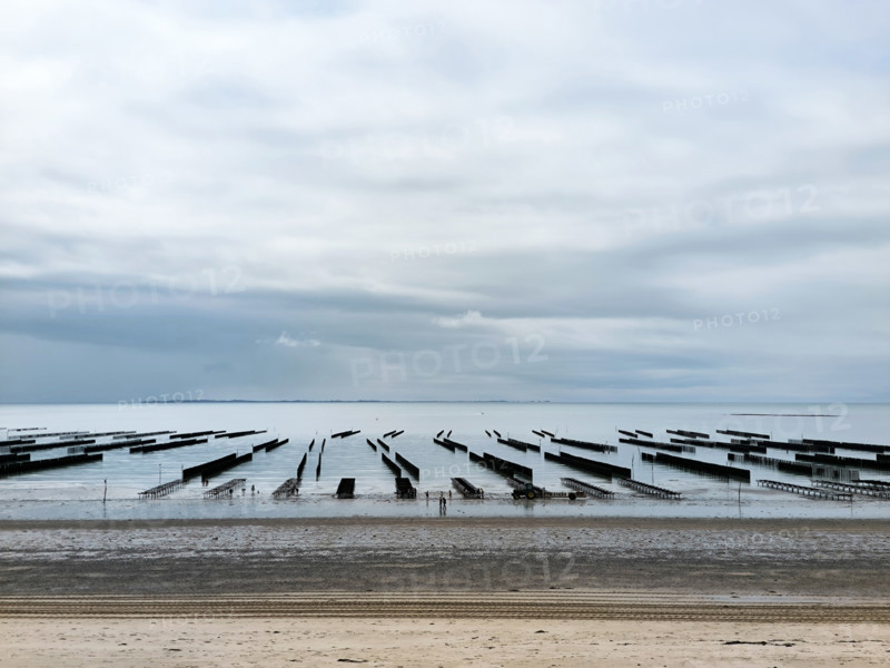 Parcs à huîtres et bouchots à moules en Normandie