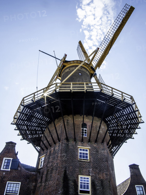 Le Molen de Roos, à Delft