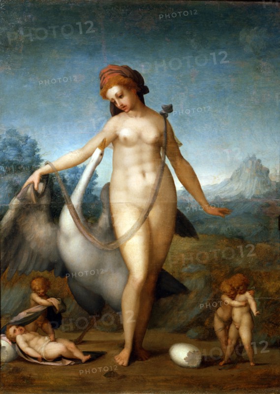 Pontormo, Léda et le cygne