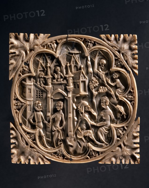 Ivory mirror case