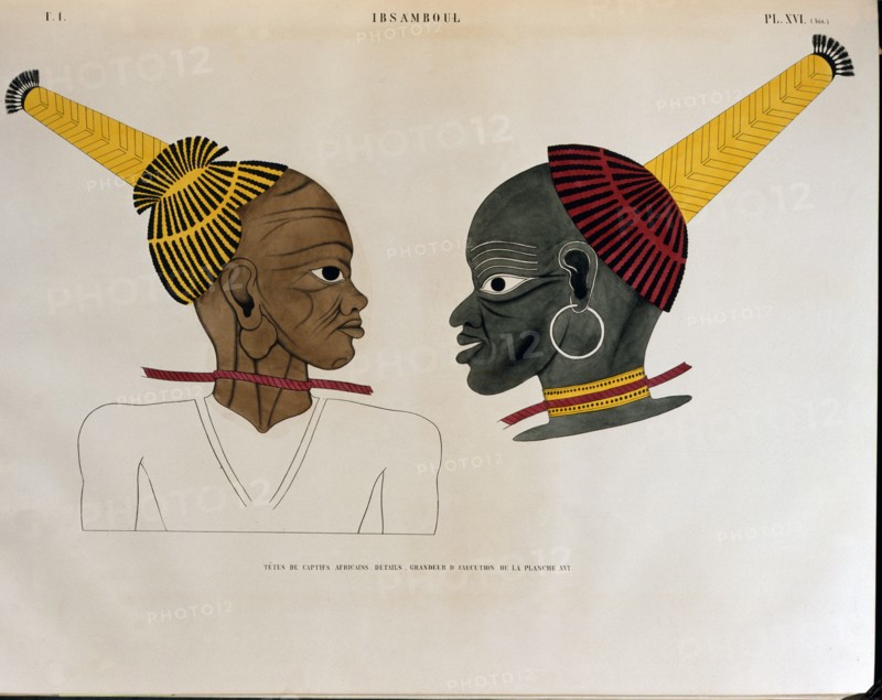 Champollion le Jeune, Têtes de captifs africains