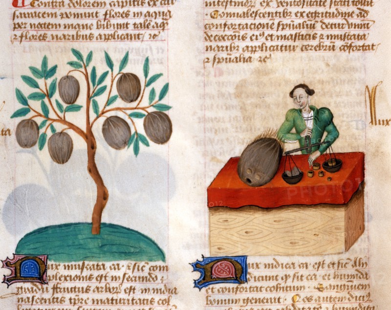 Medicinal properties of nutmeg and walnuts