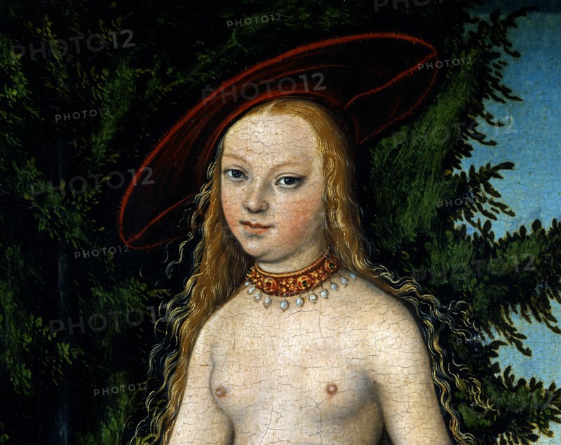 Cranach the Elder, Venus standing in a landscape (detail)