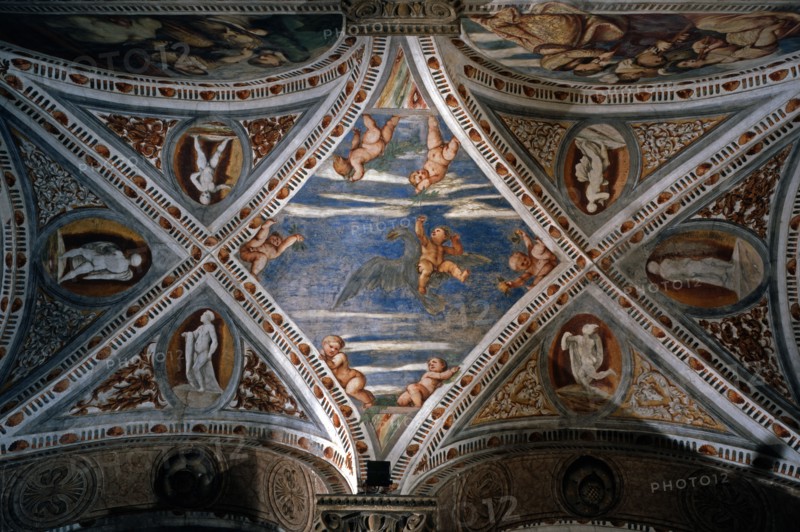 Voûte de la loggia du château du Buonconsiglio à Trente (Italie)