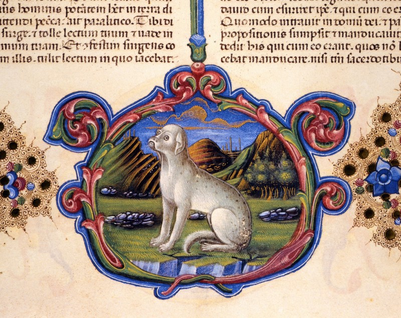 Bible de Borso d'Este, Chien dans un paysage