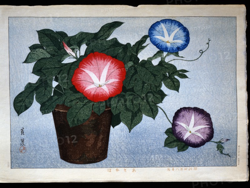 Taisui, A vase of morning glory.