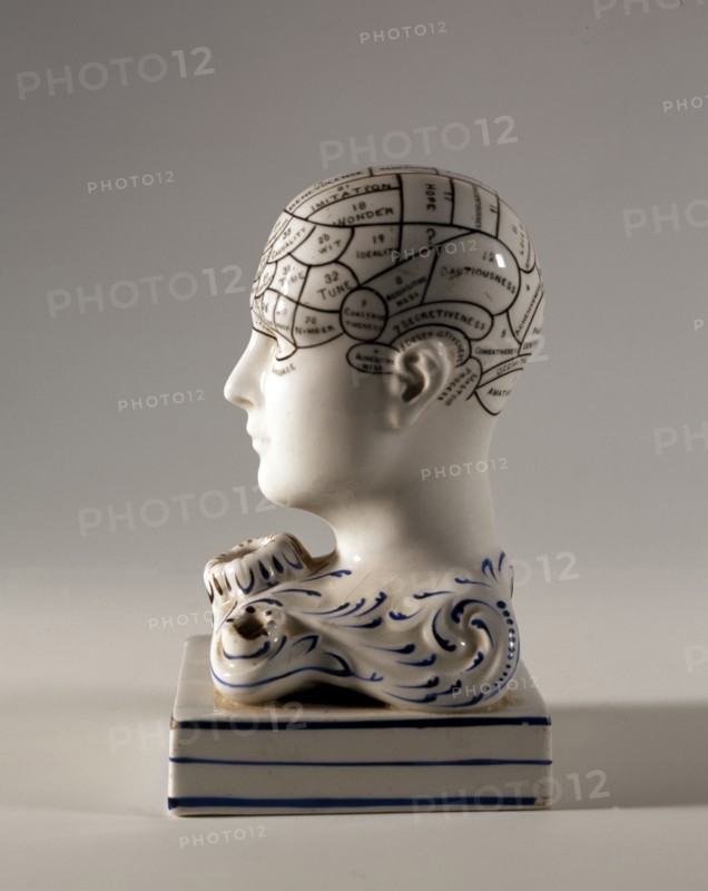 Encrier "Phrenology"