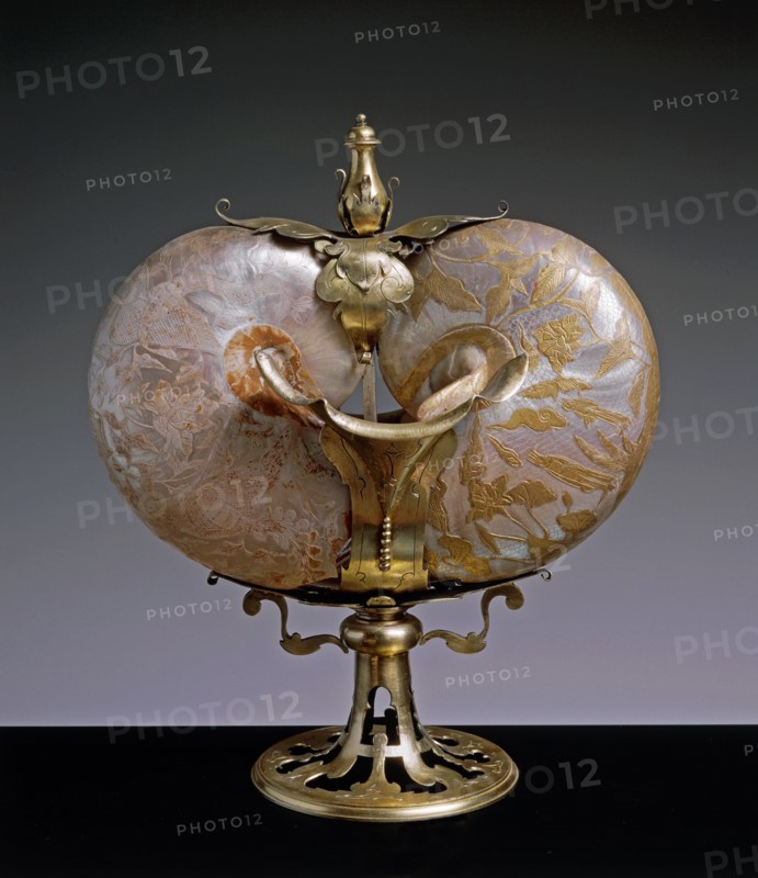 Coffee pot composed of two engraved nautilus