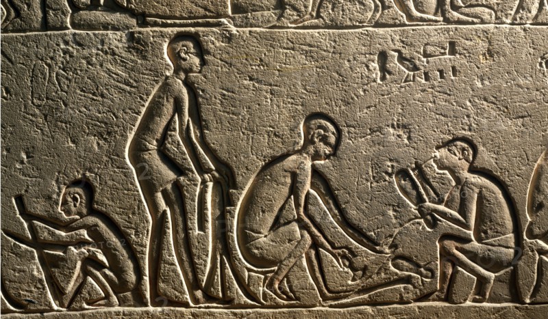 Arts and crafts relief from Saqqarah depicting fur manufacture and shoe making