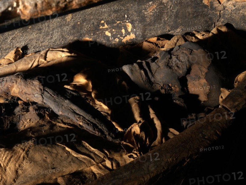 Detail of mummy wrapped in linen bandages, dating back to the Third intermediate period