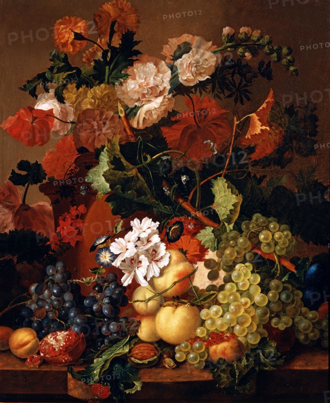 Van Huysum, Flower and fruit composition