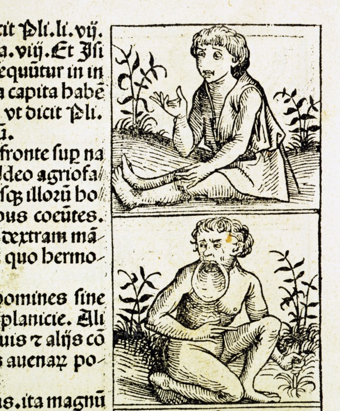 "Liber Chronicarum": monstrous creatures