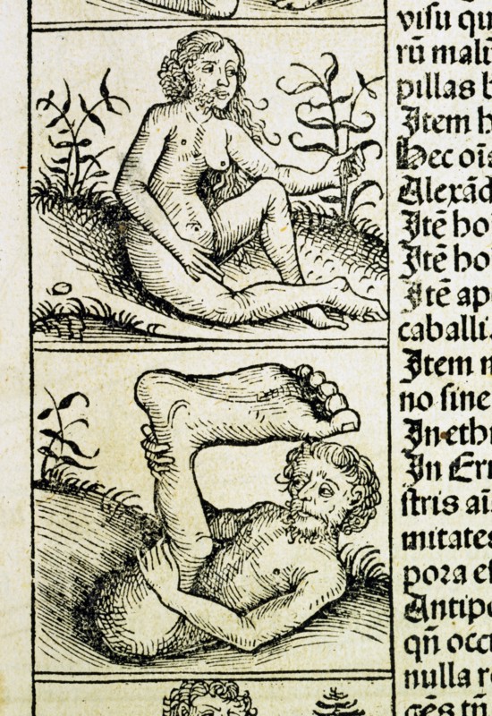 "Liber Chronicarum" : créatures monstrueuses