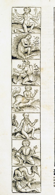 "Liber Chronicarum": monstrous creatures