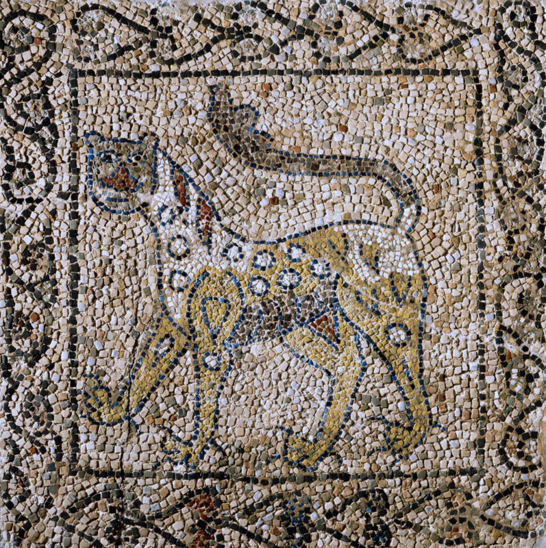 Mosaïque : la panthère tachetée