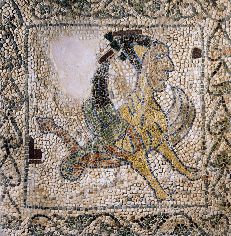 Mosaïque : harpie