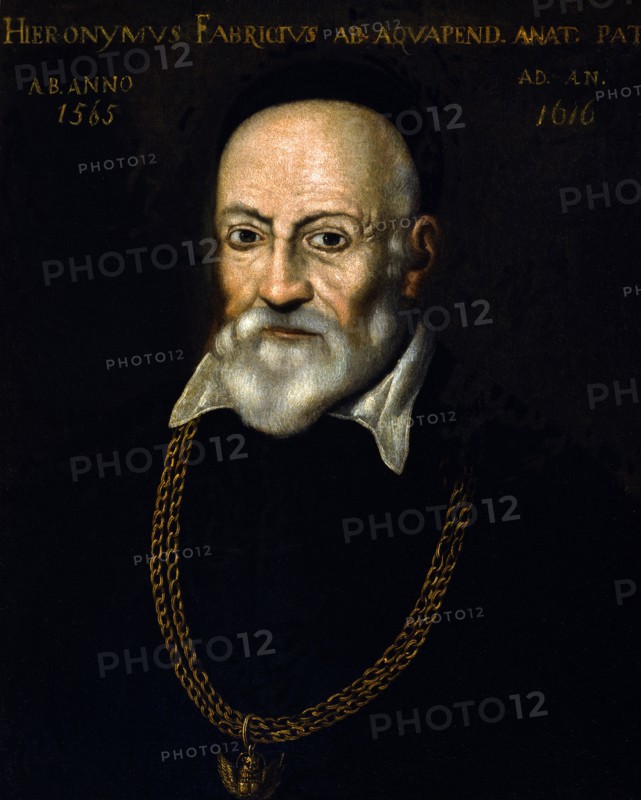Portrait of Girolamo Fabrici d'Acquapendente