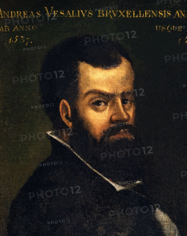 Portrait of Andrea Vesalio