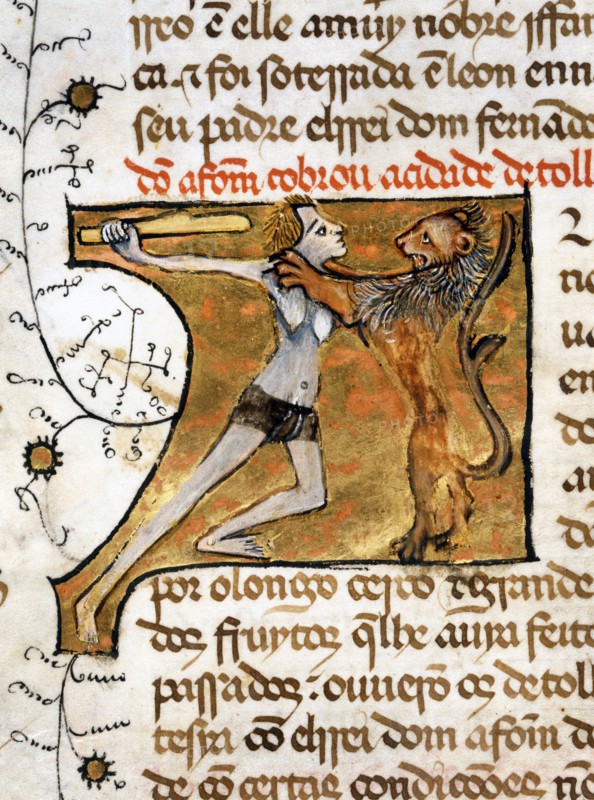Lutte entre un homme et un lion