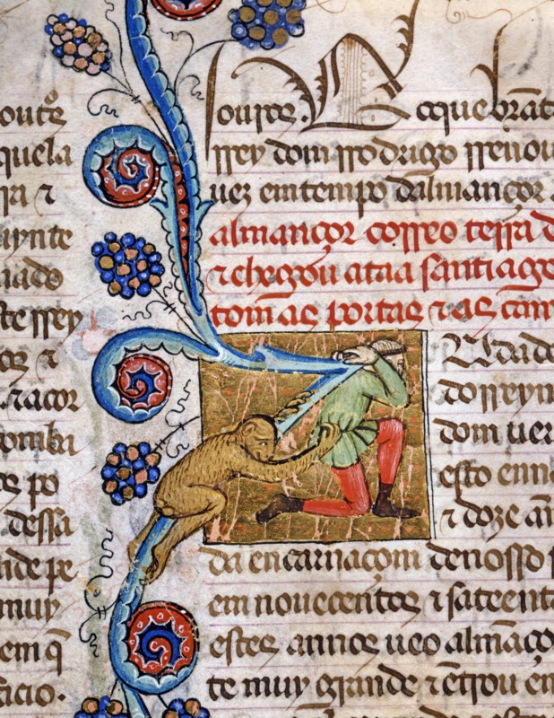 Explorateur attaqué par un singe