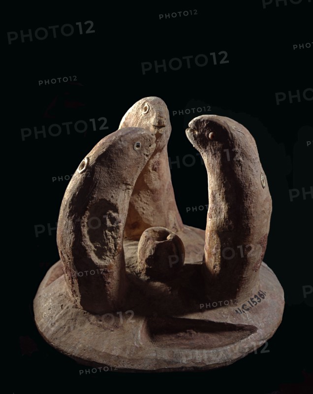 Groupe de trois serpents autour d'un récipent dans lequel boit un petit serpent