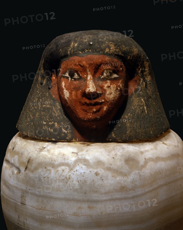 Vase canope avec la tête du génie Amset, protecteur du foie